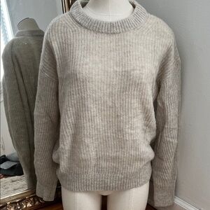 Everlane Oatmeal Alpaca Crewneck Sweater